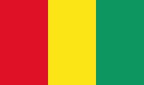 flag-of-Guinea-doi